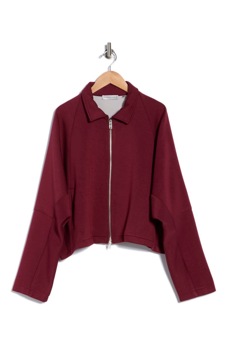 Boxy Crop Jacket, Alternate, color, BURGUNDY