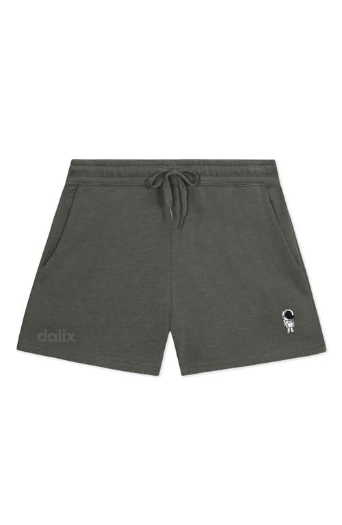 Dalix Womens Astronaut Midweight Washed Fleece Shorts In Gray