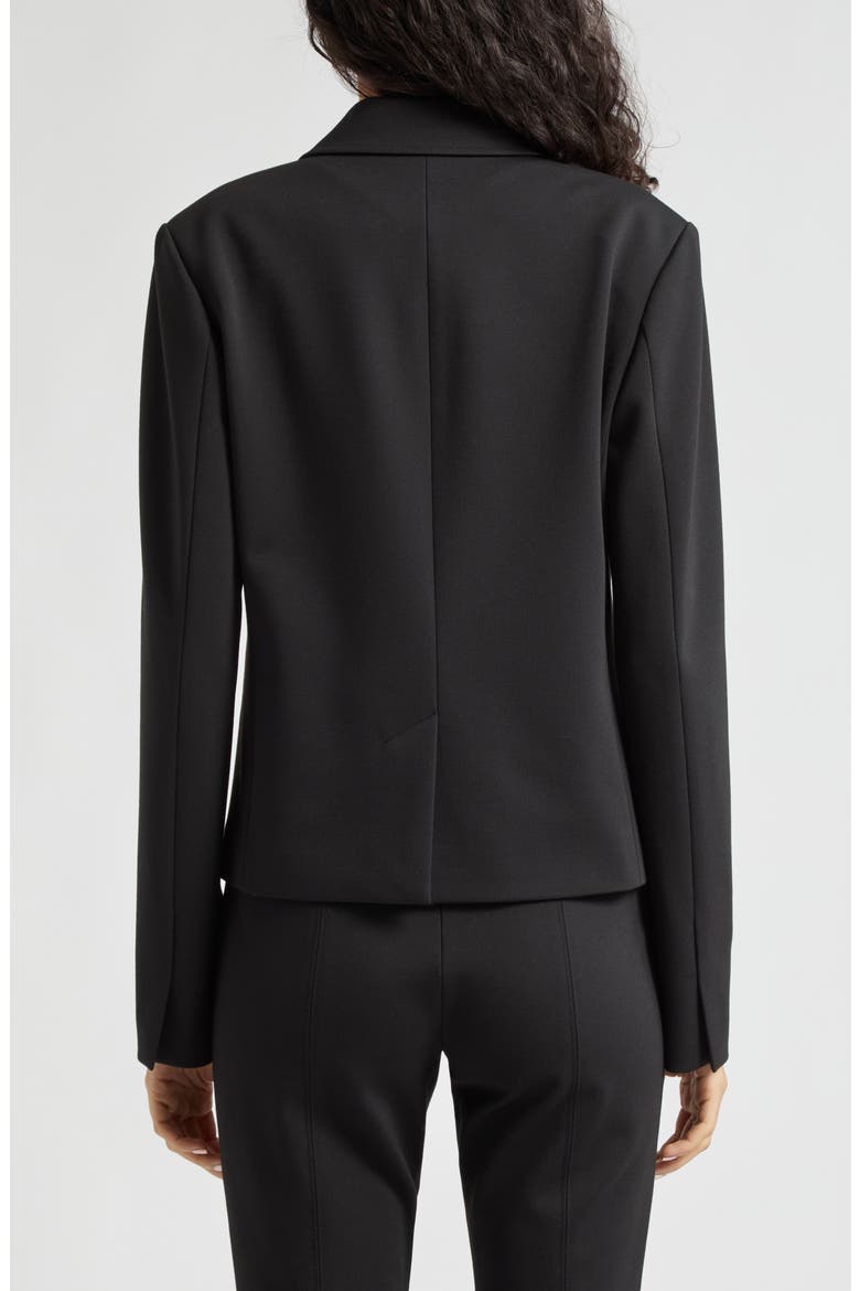 Ponte Knit Blazer, Alternate, color, BLACK