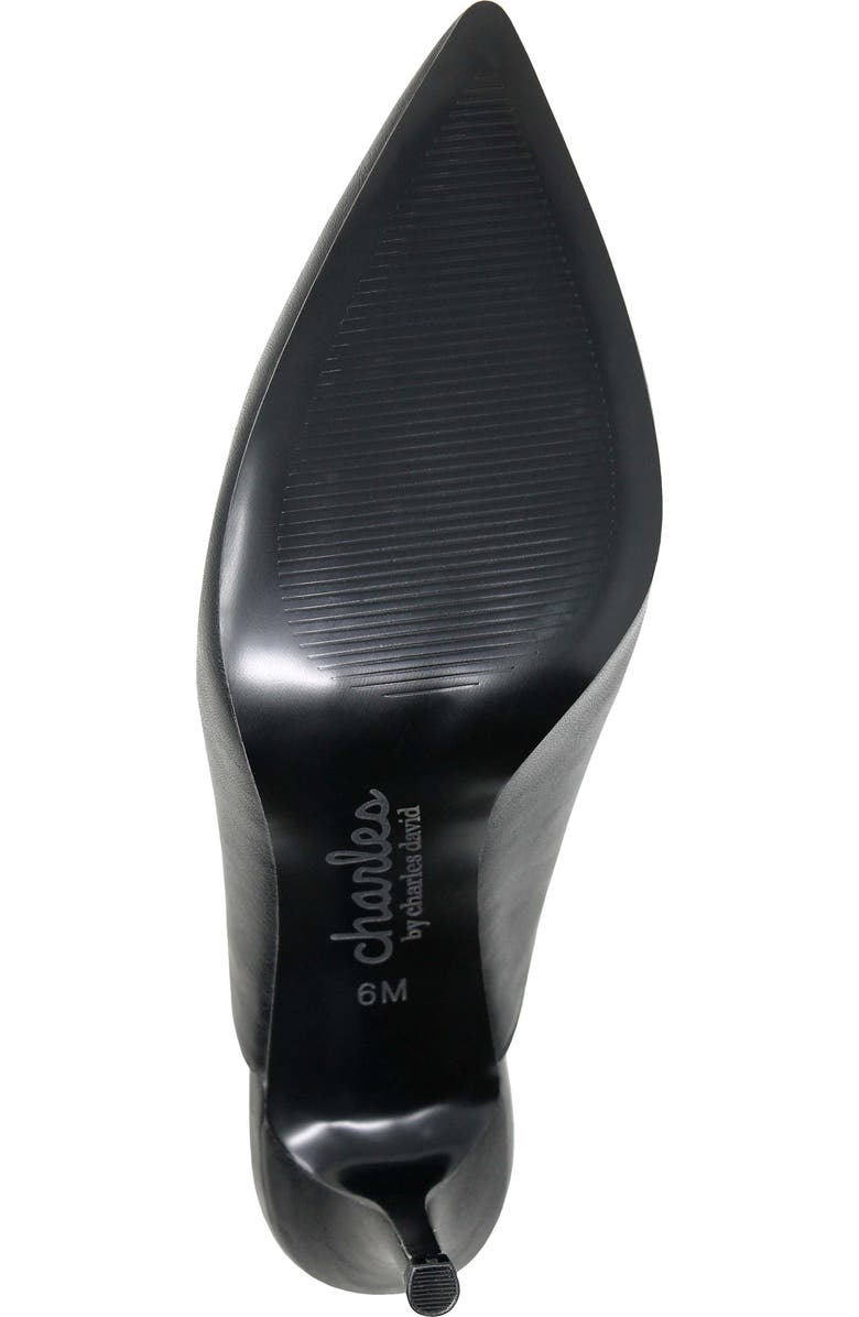 Charles by Charles David Addison Mule, Alternate, color,