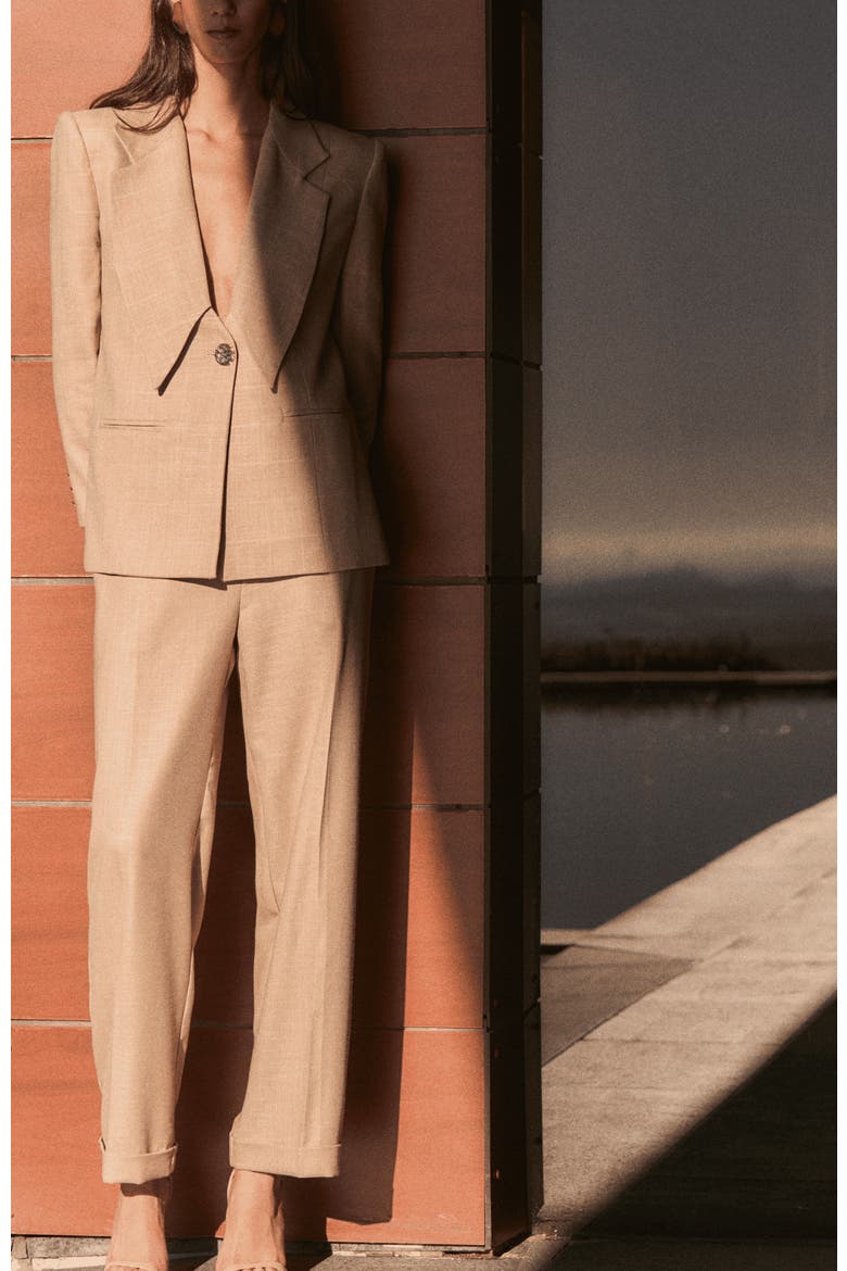 Max Blazer, Alternate, color, Brown