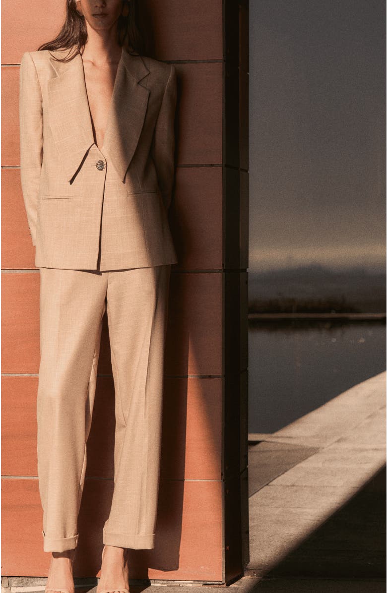 The IQ Collection Max Blazer, Alternate, color, Brown