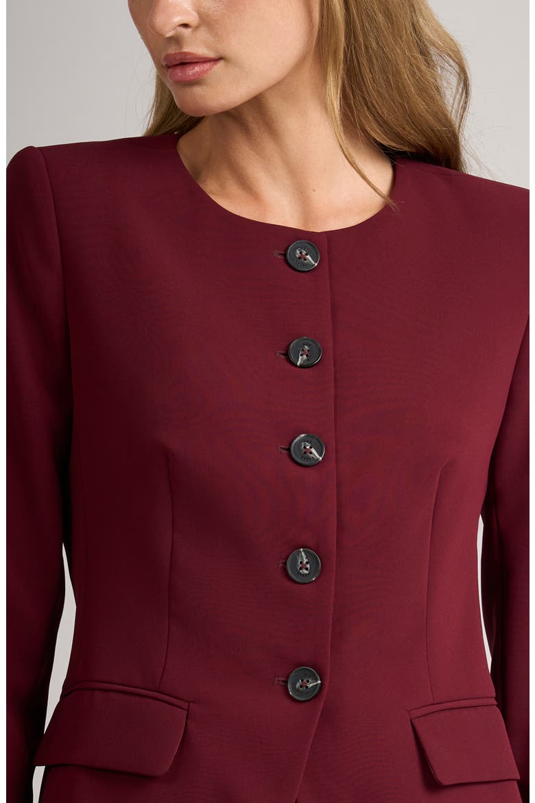 James Collarless Blazer, Alternate, color, TAWNY PORT
