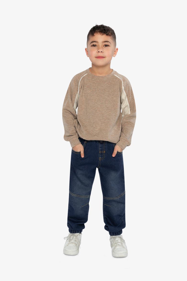 Brushed Jersey Raglan Sleeve Crew Neck Top, Alternate, color, Taupe