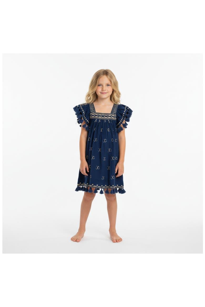 Serena Tassel Dress, Alternate, color, Blue