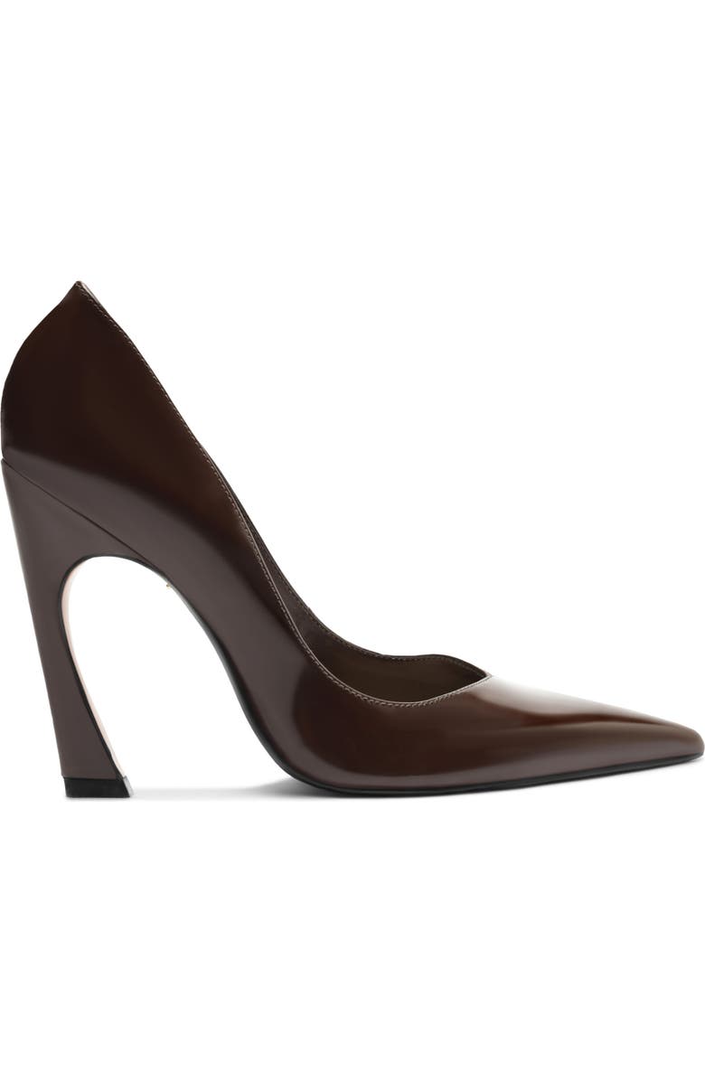 Schutz Lexi Pointed Toe Pump, Alternate, color, Chestnut Brown