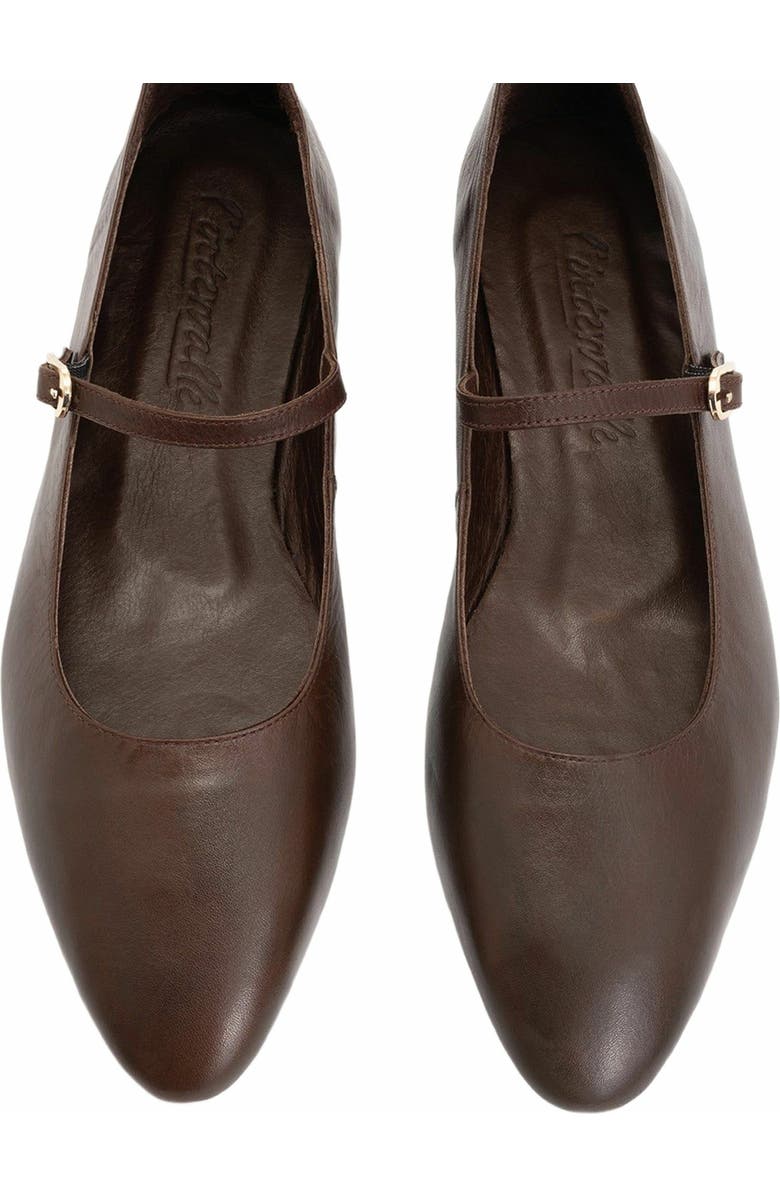 Forever & Always Shoes Lara Leather Mary Jane Flats, Alternate, color, Brown Leather