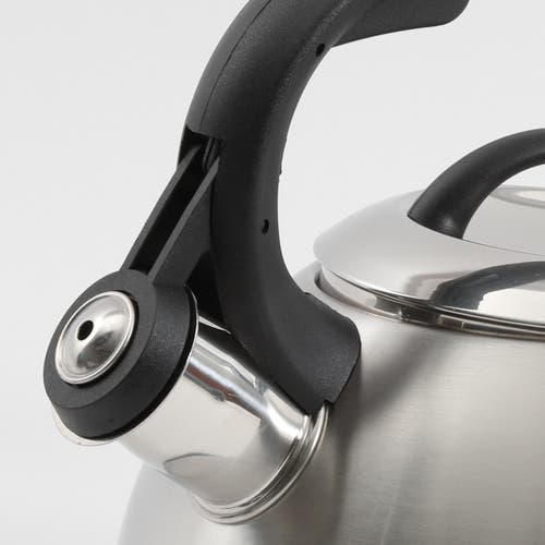 Mr Coffee Mr. Coffee Flintshire 1.75qt Stainless Steel Whistling Tea Kettle In Silver