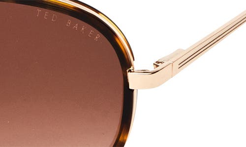 Ted Baker London 57mm Aviator Sunglasses In Tortoise