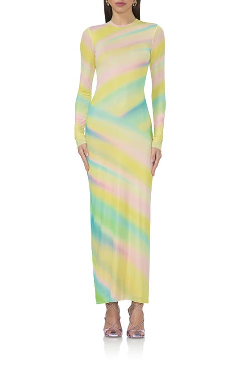 Didi Printed Long Sleeve Mesh Maxi Dress