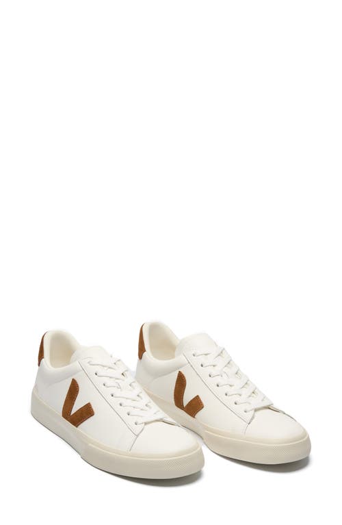 Veja Low-top Lace-up Sneakers Urca Cwl In Multi