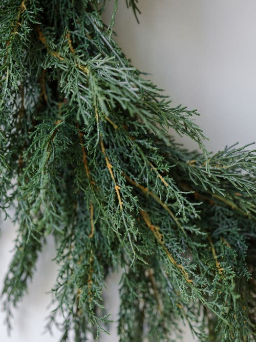 Cg Hunter 30" Faux Evergreen Cedar Wreath In Green