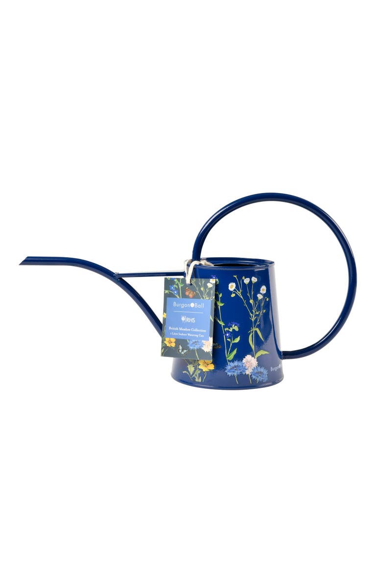 British Meadow Indoor Watering Can, Main, color, Blue