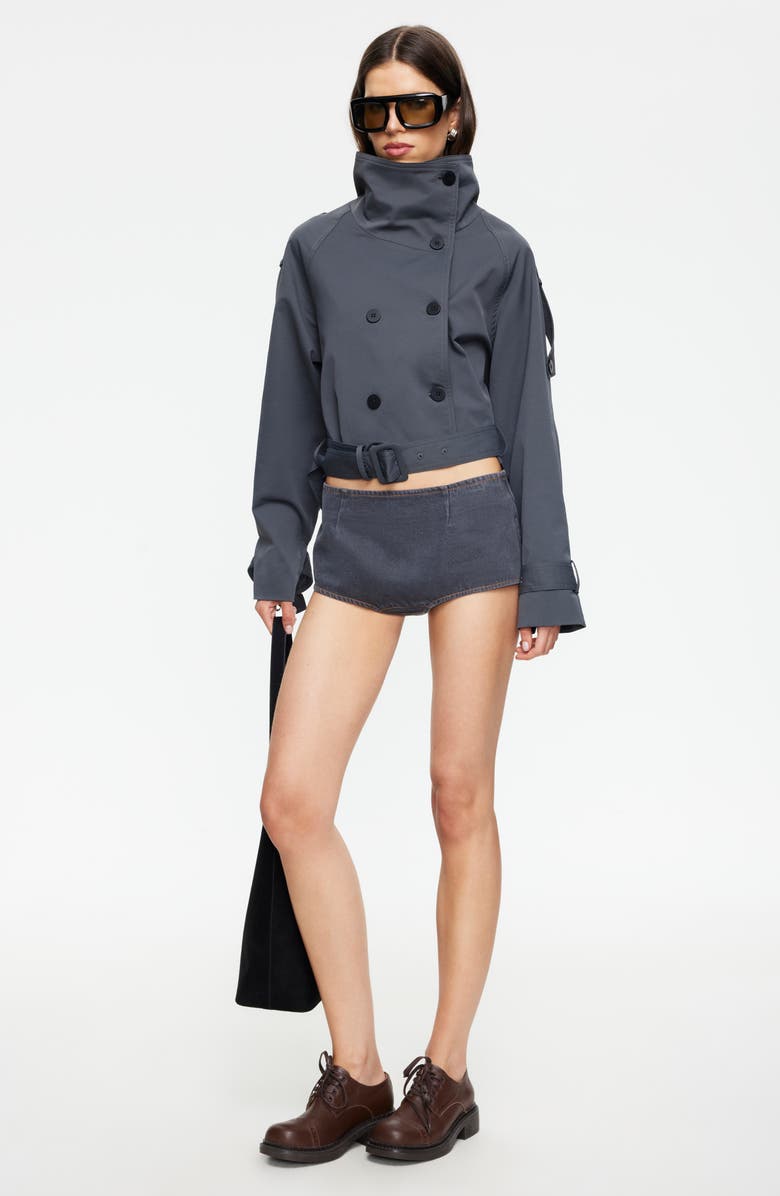 LIONESS Blanc Crop Trench Coat, Alternate, color, Slate