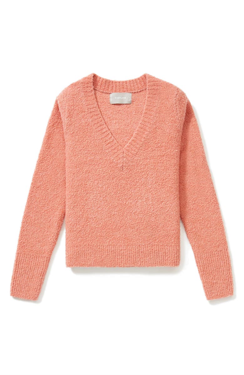 Everlane The Teddy Wool Blend V-Neck Sweater, Alternate, color, 