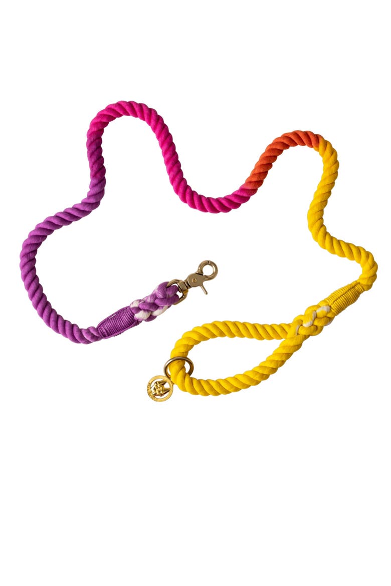 Roxy Rope Dog Leash, Main, color, Roxy 4ft