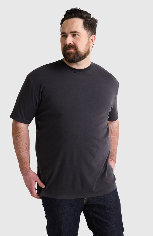 Epic Fits Crew Neck T-shirt In Gray