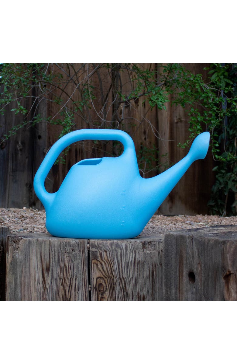 Bloem Bluebonnet Translucent 1 Gallon Watering Can, Alternate, color, Blue