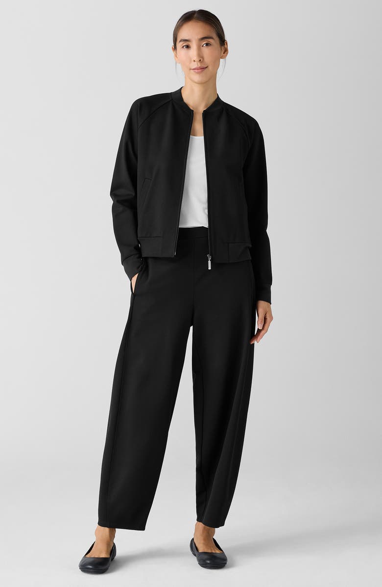 Eileen Fisher Stand Collar Jacket, Alternate, color, 