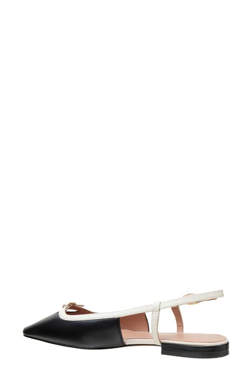 Linea Paolo Cassidy Pointed Toe Slingback Flat