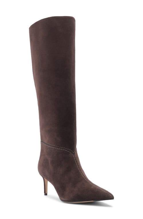 Alexandre Birman Malva Pointed Toe Knee High Boot In Brown