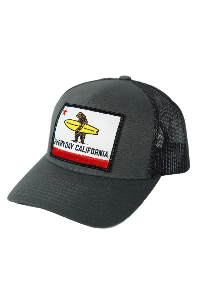 Everyday California Shores Snapback Hat, Alternate, color, Charcoal