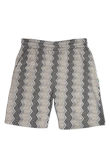 Fleece Factory Zigzag Fleece Shorts In Grey Multi