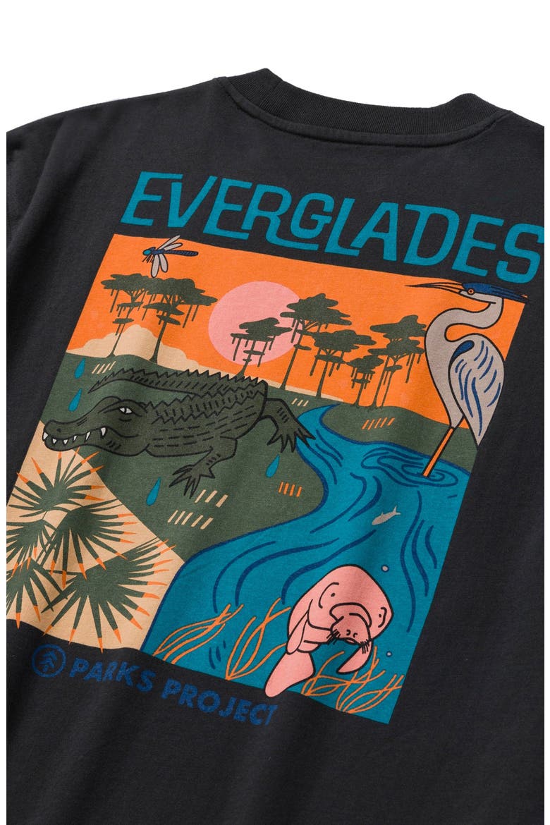Everglades Tour Tee, Alternate, color, Vintage Black