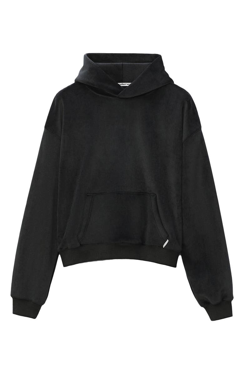 Alexander Wang Velour Hoodie, Alternate, color,