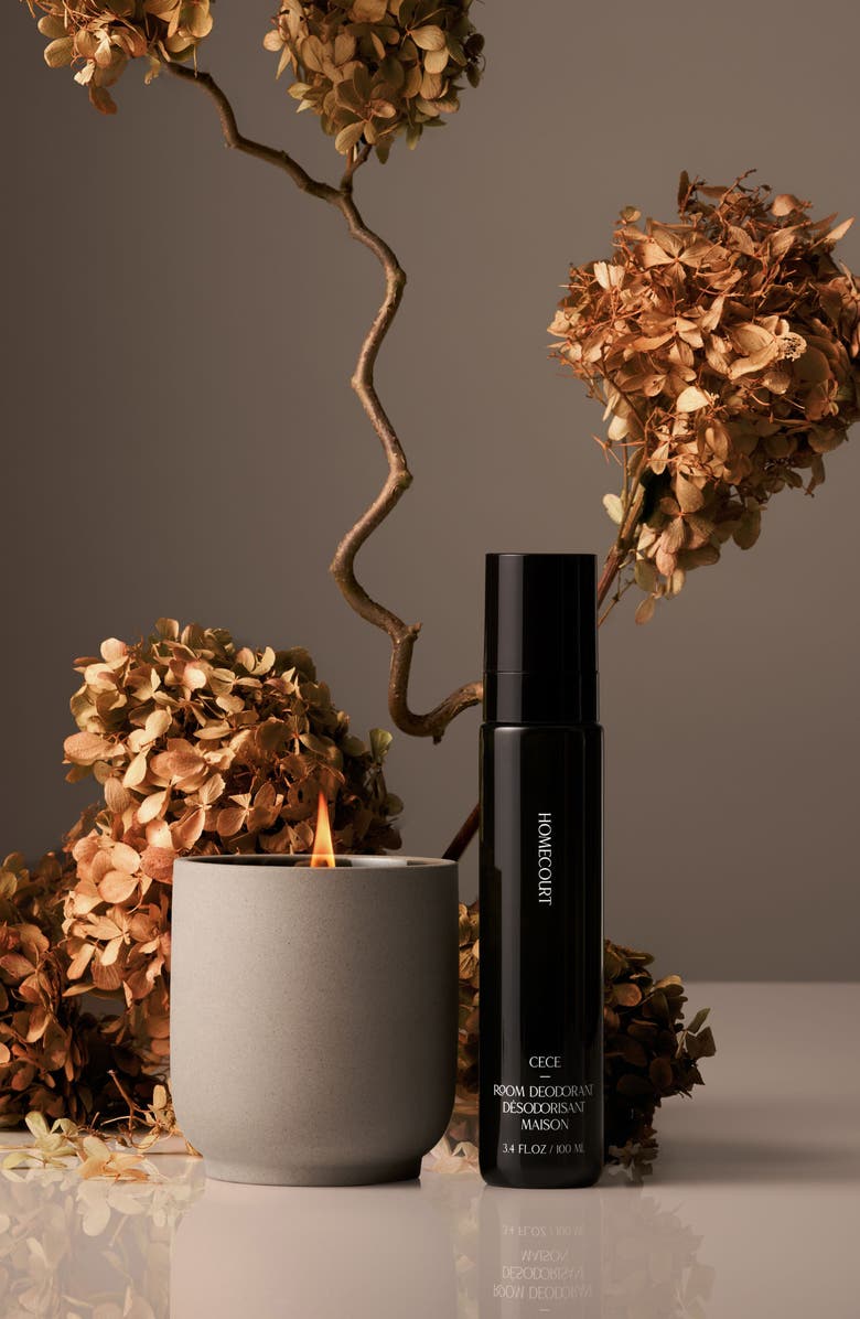 Homecourt Room Deodorant Spray, Alternate, color, Cece