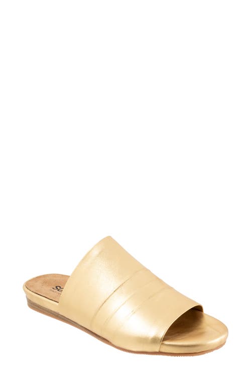 SoftWalk® Camano Slide Sandal in Gold at Nordstrom, Size 6