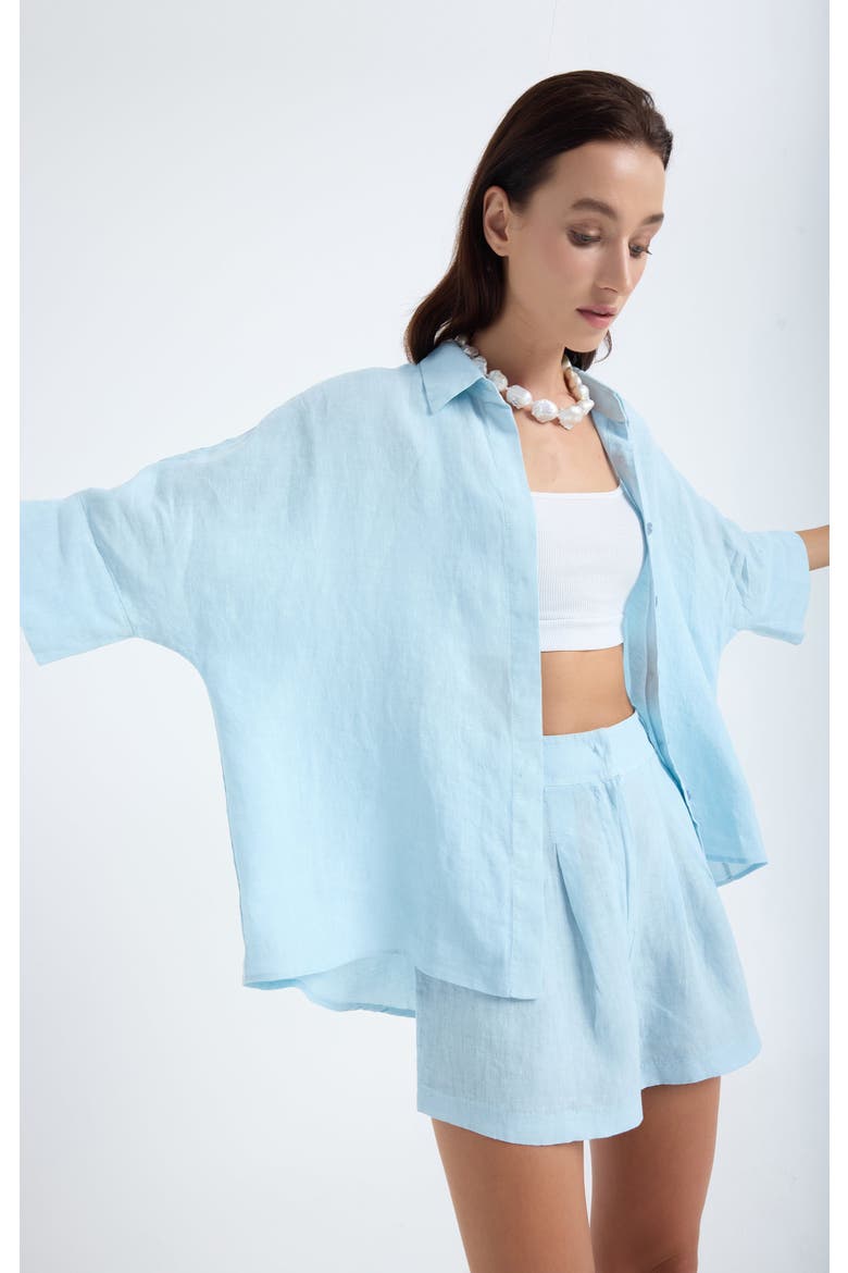 Iyan 100% Linen Oversize Shirt, Alternate, color, Blue