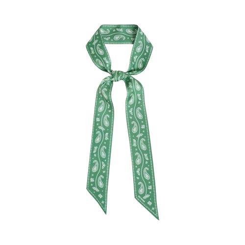 Lost Pattern Nyc "paisley" Silk Twill Skinny Scarf In Green
