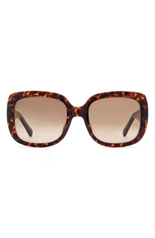 Fossil 54mm Gradient Rectangular Sunglasses in Havana  product