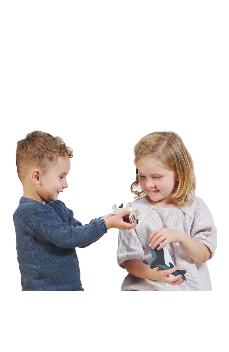 Tender Leaf Toys Polar Animals 10-Piece Wooden Toy Set & Shelf, Alternate, color, Multi