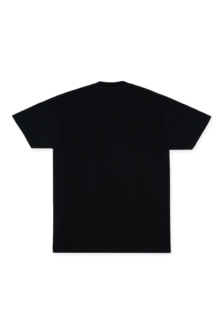 Planes East River Cotton Graphic T-Shirt, Alternate, color, BLACK