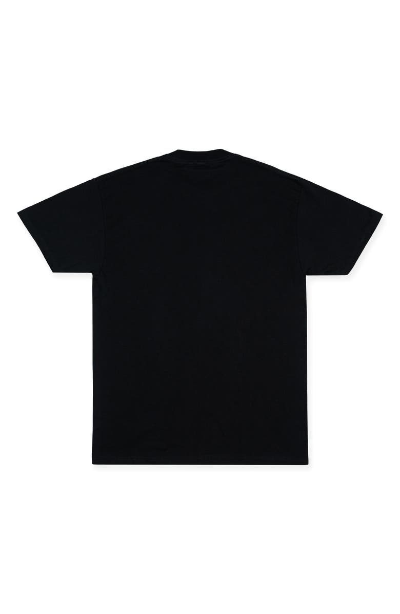 PAPER PLANES Planes East River Cotton Graphic T-Shirt, Alternate, color, Black