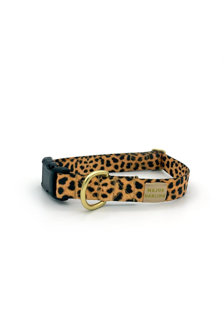Leopard Print Dog Collar, Main, color, Black Nylon - XS