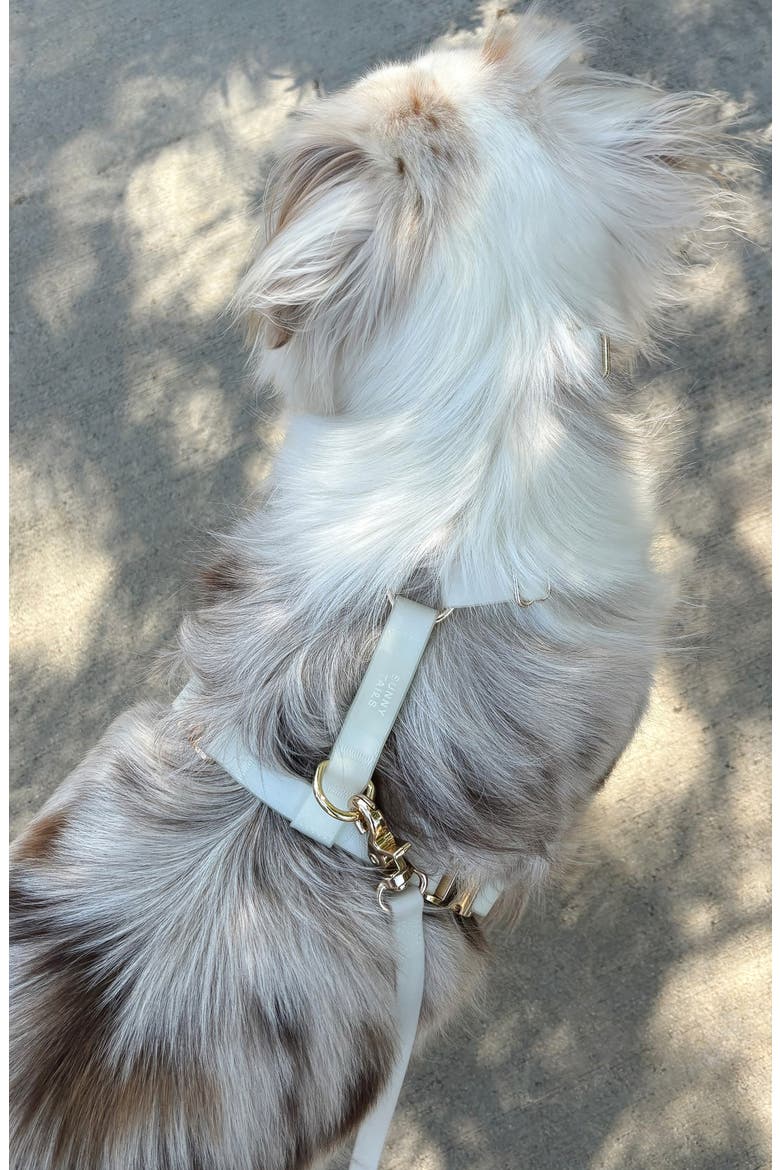 Cloud Lite Waterproof Dog Harness, Alternate, color, LUNAR GLOW