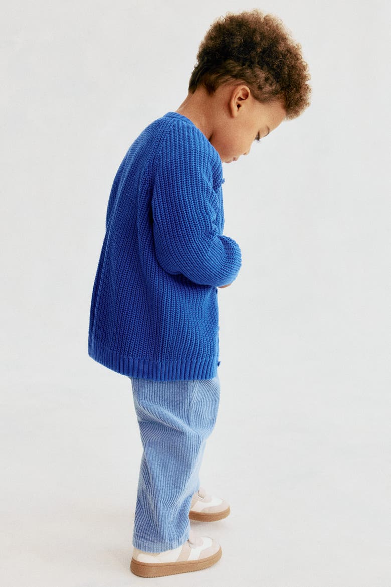 Cotton Corduroy Pants, Alternate, color, Light dusty blue