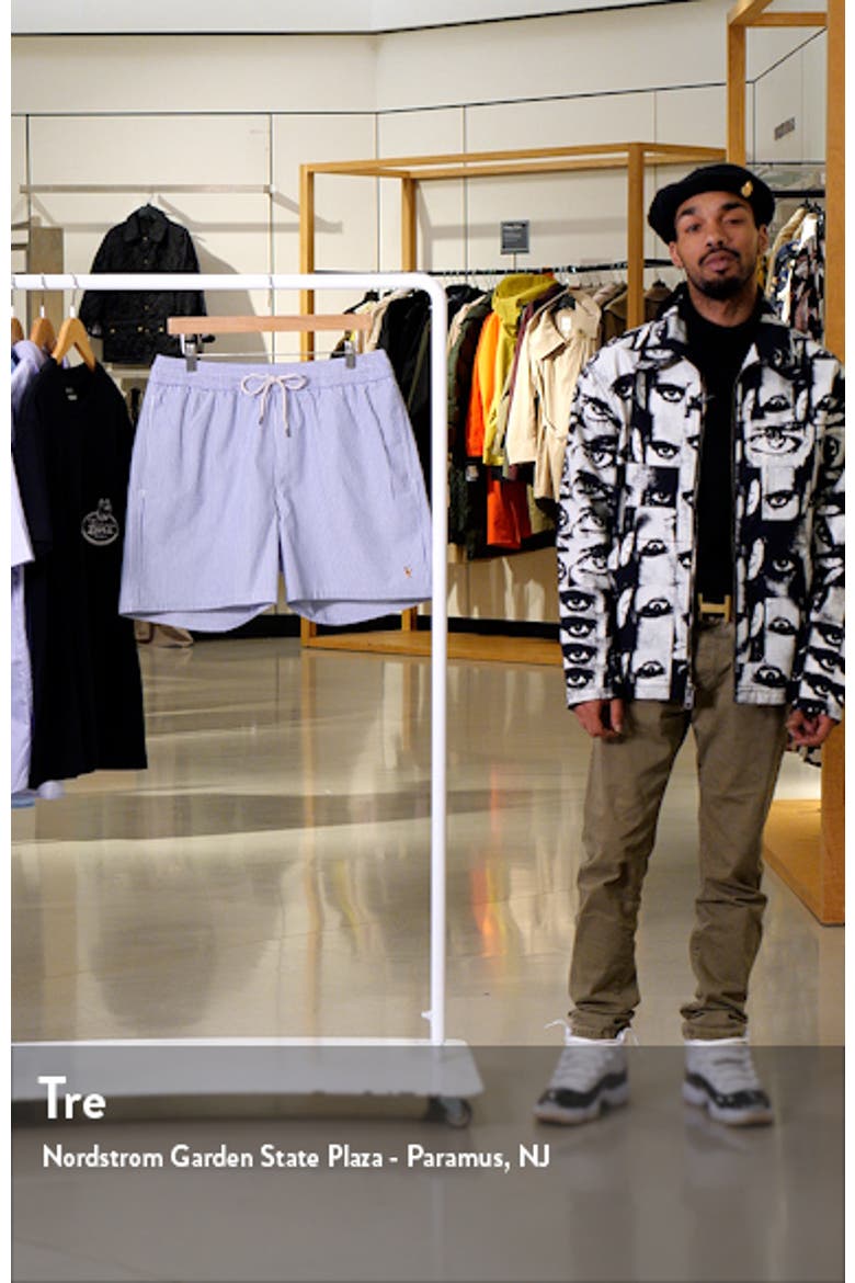 Stripe Swim Trunks video