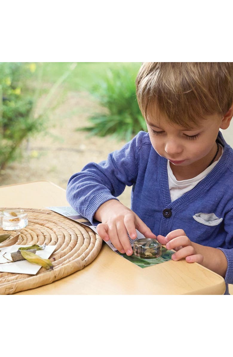 Kaplan Early Learning Company Specimen Life Cycle Puzzles Moth, Alternate, color, Multicolored