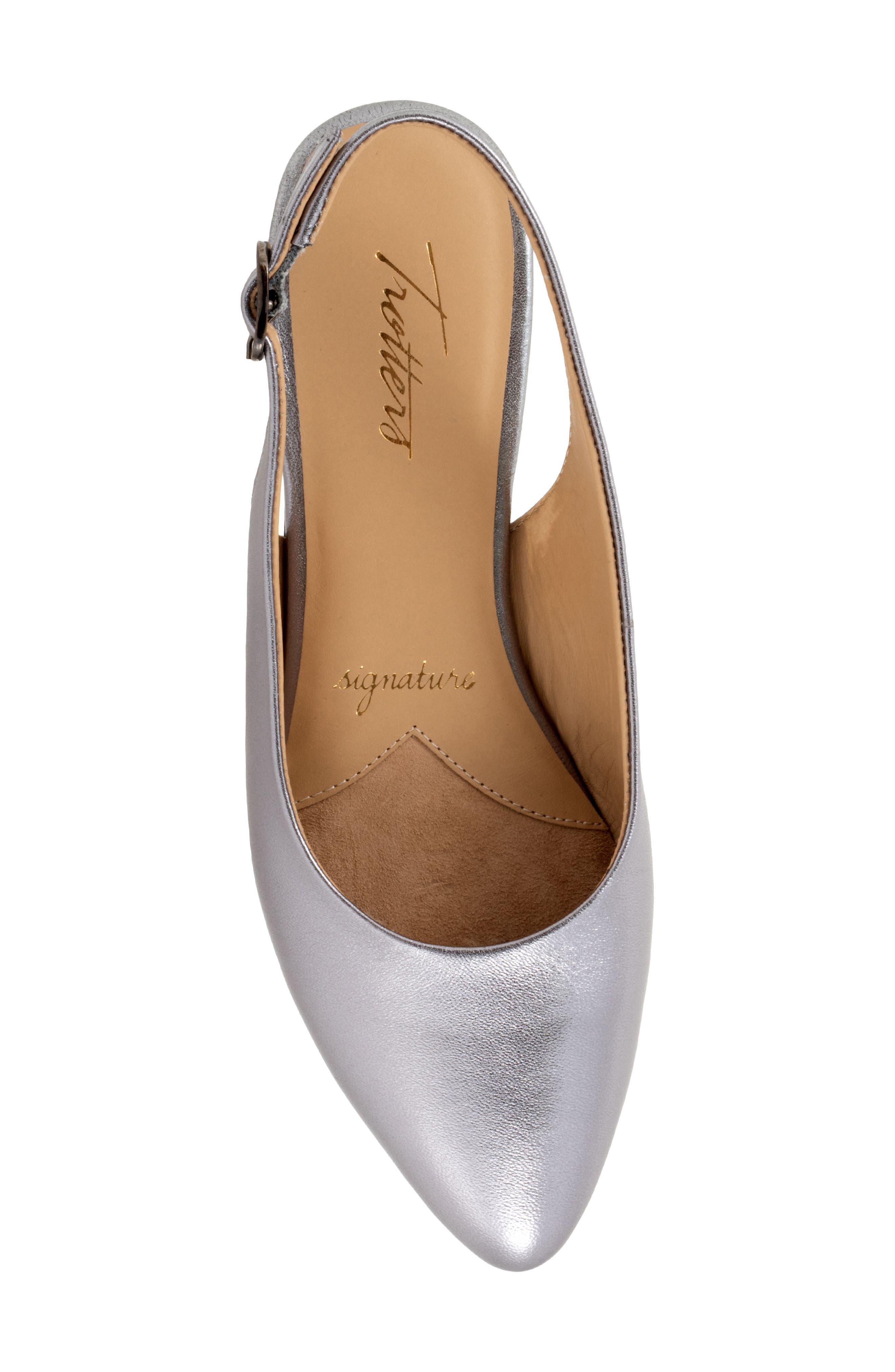 Evelyn Pointed Toe Slingback Flat - Multiple Widths Available, Alternate, color, PEWTER