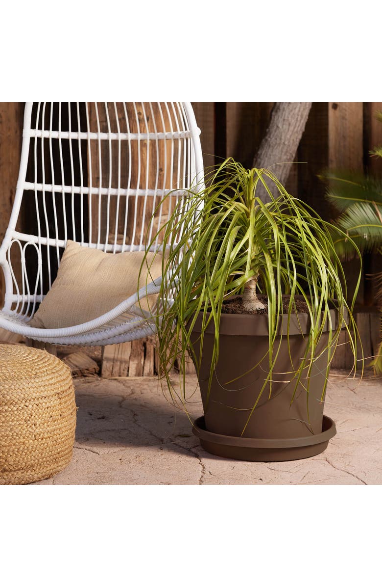 Bloem Terra 17 Inch Resin Saucer, Chocolate Brown Round Flower Pot Tray, Alternate, color, Brown