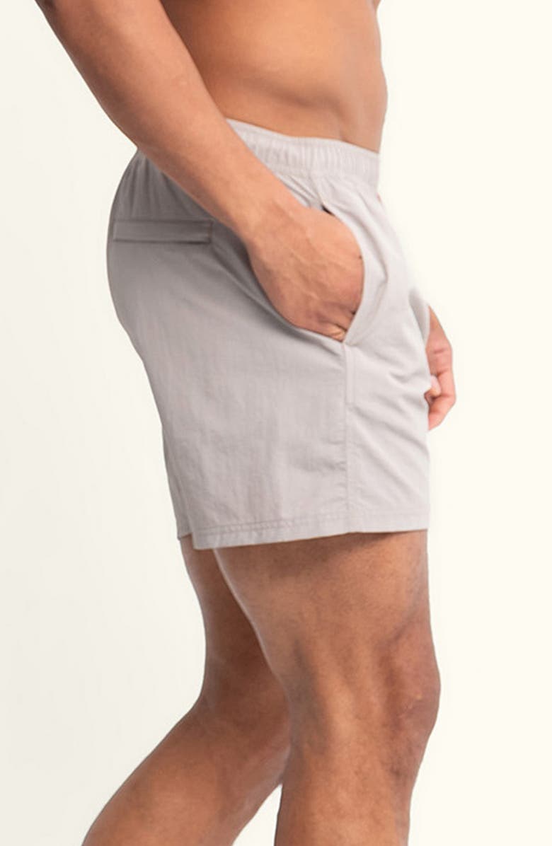 AUTO-REPLY<sup>™</sup> Sebastian Solid 4-Inch Nylon Swim Trunks, Alternate, color, Pumice/ Gray