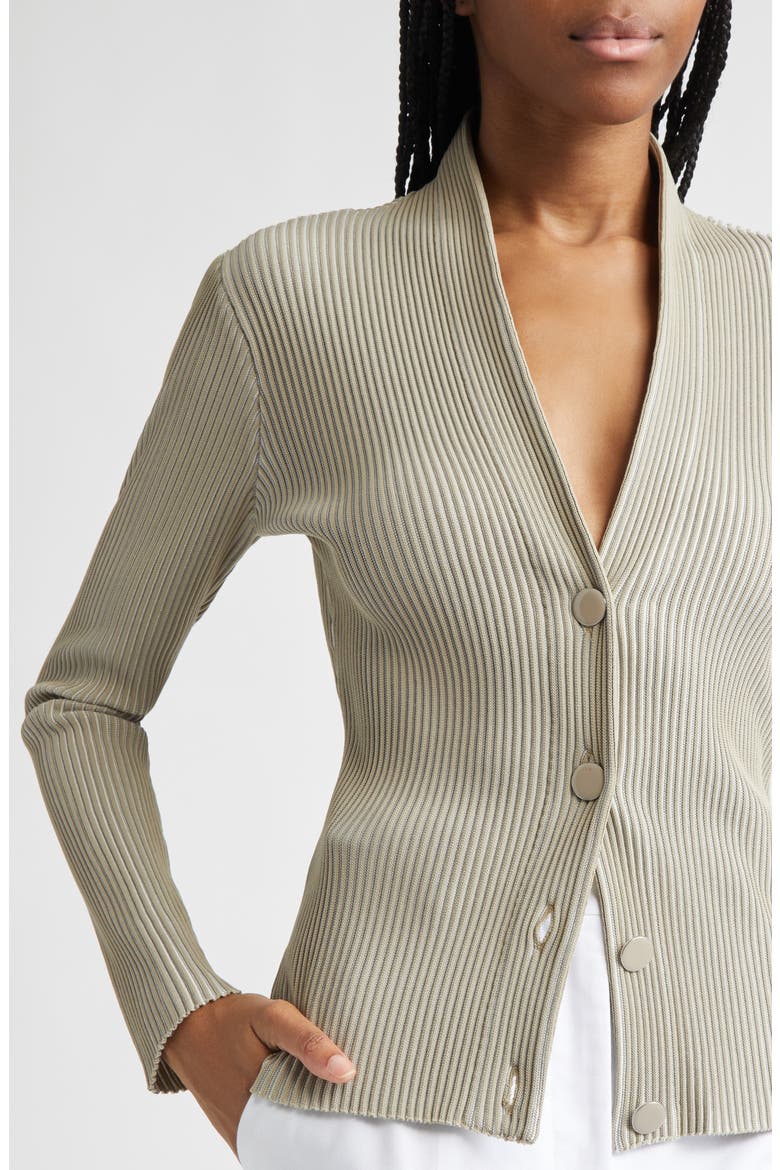 Rib V-Neck Cardigan, Alternate, color, TAN