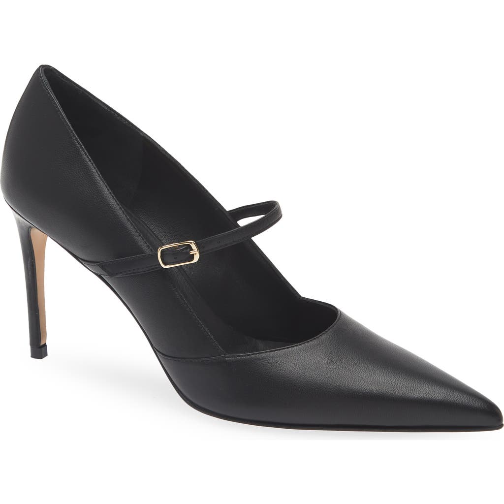 Bruno Magli Panna Pointed Toe Pump In Black