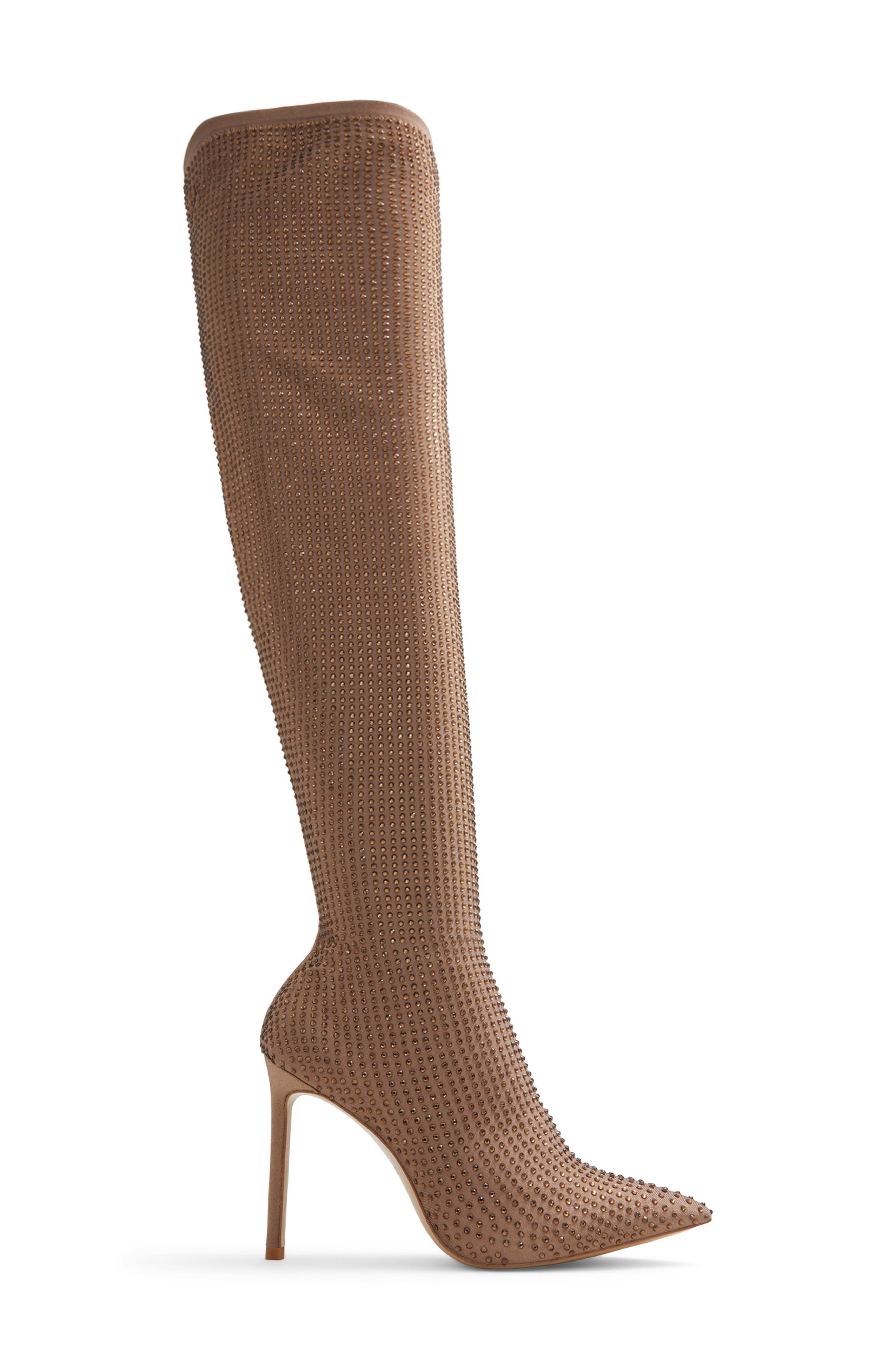 ALDO Nassia Embellished Pointed Toe Over the Knee Boot, Alternate, color, 