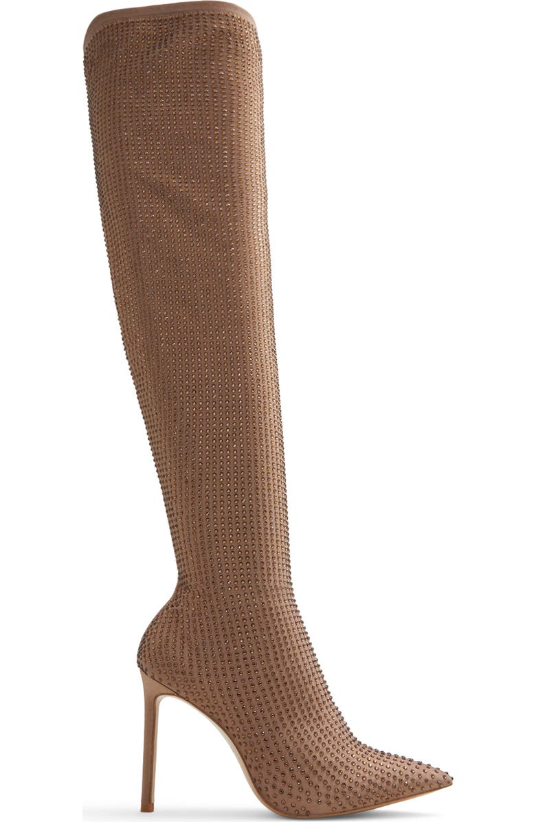 ALDO Nassia Embellished Pointed Toe Over the Knee Boot, Alternate, color,