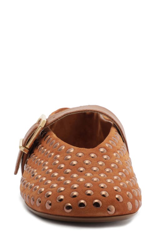 Schutz Eiza Shine Studded Suede Buckle Flats In Brown